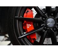 Kit 4 pistoncini freno grandi ad alte prestazioni 350 mm per 22 23 24 25 26 E...