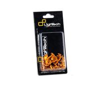 KIT 42 VITI ORO PER MOTORE DUCATI MONSTER 696 08-13 LIGHTECH