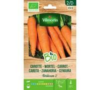 Kit 5 bustine Carota Vilmorin 454B Berlicum