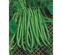 Kit 5 pacchetti FAGIOLINO RAMPICANTE MISTICA