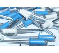 Kit 50 Rivetti VITFER 4.8x12 a Fiore per Targhe Auto Moto - 30 Blu e 20 Bianchi - Rivetti Resistenti Assortiti per Carrozzeria e Fissaggi