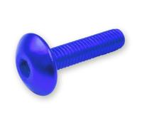 Kit 6 Bulloni Allen Testa Auto Filettate m6x30 Azzurro V Parts per Moto