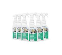 KIT 6 Easy Clean Da 750 ml Detergente Sgrassante Igienizzante Universale