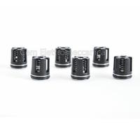 Kit 6 valvole con O-rings per pompe idropulitrici Karcher valvola per HYDRO LAV