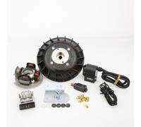 KIT ACCENSIONE ANTICIPO VARIABILE VOLANO PINASCO FLYTECH KG 1,1 VESPA 50 125 ET3