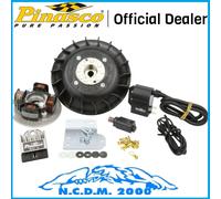 KIT ACCENSIONE ANTICIPO VARIABILE VOLANO PINASCO FLYTECH KG 1,4 VESPA 50-125 ET3