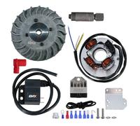 Piaggio Statore Evok Iron Spark per Vespa 50 Special, PK50, Primavera 125, ET3 Argento