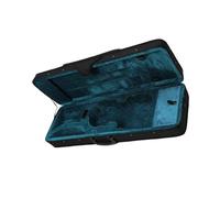 Kit Accessori Violino Custodia Rigida Rettangolare In Tessuto Oxford E Schiuma Leggera Per Violino 4/4 Per Esecutori