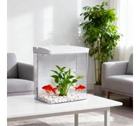 Kit acquario acquario vasca pesci da scrivania con luce LED e filtro per piccoli