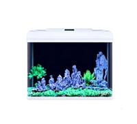 Kit Acquario Desktop Tutto-in-uno, Vasca In Vetro Temperato Trasparente Con Luce LED Regolabile Per Piante E Filtro A Circolazione Silenzioso, Tutte Le Decorazioni Acquatiche Incluse(82x35x58cm)