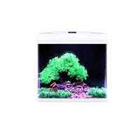 Kit Acquario Rettangolare In Vetro Di Piccole Dimensioni, Vasca Da Scrivania Con Luce LED Multicolore, Pompa Con Filtro Silenzioso 3-in-1 E Set Completo Di Decorazioni Paesaggistiche(31.7x21x35cm)