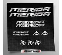 Kit adesivi compatibile con telaio Merida MTB Mountainbike e casco | decals sticker Decalcomanie bici scritte loghi | Stickersland® (Argento Lucido Metallizzato)