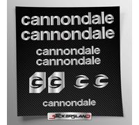 Kit adesivi compatibile con telaio MTB Mountainbike e casco | decals sticker Decalcomanie bici scritte loghi | Stickersland® - Cannondal (Argento Metallizzato Opaco)