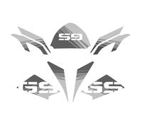 Kit adesivi Compatibile Per BMW R 1200 GS 2008-2012 30th Anniversary Style AD-30THA-STD (Gray)
