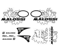 Kit adesivi Malossi Trofeo Vespa Primavera / Sprint