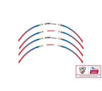 KIT ADESIVI RUOTA 17 POLLICI PRAMAC CNC RACING PER KAWASAKI ER-6F 2012-13