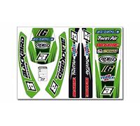 Kit Adhesivos Standard Kawasaki Blackbird Racing 5407
