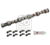 FEBI BILSTEIN 12242 Kit albero a camme