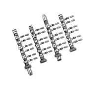 Kit albero a camme 428 0038 30 INA per AUDI VW SKODA