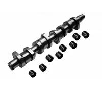 Kit albero a camme 428 0039 30 INA per VW AUDI SEAT SKODA