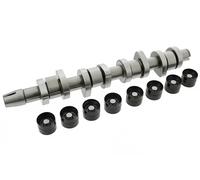 INA 428 0042 30 Kit albero a camme Kit alberi a camme