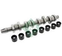 Kit albero a camme 428 0042 30 INA per SKODA AUDI VW SEAT FORD