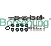 BORSEHUNG Kit albero a camme B11307 per VW POLO (9N) TOURAN (1T1, 1T2)