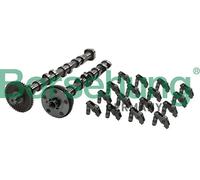 Kit albero a camme B19173 Borsehung per SKODA VW AUDI SEAT