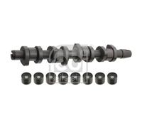 Kit Albero A Camme Febi Bilstein 33197 per Audi VW