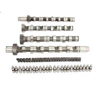 Kit albero a camme INA 428 0038 30 per AUDI A4 B5 (8D2) 2.5 1997-2000