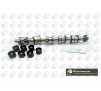 Kit albero a camme Lato scarico CS9610K BGA per VW TOUAREG MULTIVAN T5