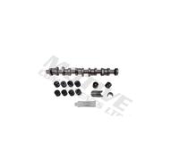 Kit Albero a Camme Motore Completo VW Multivan Transporter Touareg 2.5 TDI PD