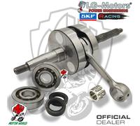 KIT ALBERO MOTORE + CUSCINETTI SKF E PARAOLI GILERA DNA 50