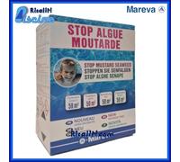 KIT ALGHICIDA STOP ALGUE MOUTARDE MAREVA ALGHE GIALLE PULIZIA ACQUA PISCINA