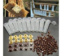 Kit Allevamento per regine 100 Tazze Innesto Kit Allevamento | 100 tazze marroni, plastica , evita innesti, per ideale per apicoltori esperti