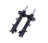 Kit ammortizzatori anteriori o posteriori 2 pezzi compatibili con Ford Ecosport 2013- CN1518045AA CN1518045AB CN1518080AC Ammortizzatore e montante passeggero anteriore(Front 2PCS)