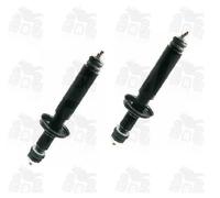 KIT AMMORTIZZATORI POSTERIORI TIPO ORIGINALE PER APE FL3 EUROPA 50 1996-1999