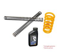 Kit Andreani molle Mono, Molle, Olio Forcella Moto Guzzi Breva Norge 2005 > 2008