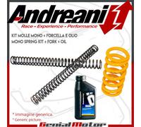 Kit Andreani molle Mono, Molle, Olio Forcella Moto Guzzi Sport 1200 2007 > 2008