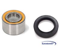 KIT ANELLO TENUTA E CUSCINETTO PER LAVATRICE ARISTON INDESIT ELECTROLUX