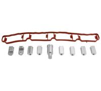 Kit Anulare Farfalle Collettore Ammissione 1.8 2.0 TSI TFSI EA888 06J133201BD