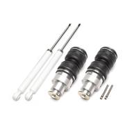 Kit Assetto Pneumatico ad Aria Asse Posteriore Audi A4 A5 A6 A7 Sportback 2007-