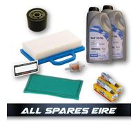 KIT ASSISTENZA TRATTORE RIDE ON PER MOTORI SELEZIONATI BRIGGS & STRATTON INTE...