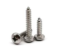 Kit assortimento 250/300 pezzi M3, viti autofilettanti for legno a testa svasata piatta Phillips, acciaio inossidabile 304 A2-70(Round head 250pcs)