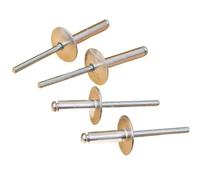 Kit assortito di rivetti ciechi in alluminio da 500 pezzi per canalina per barche e accessori per la casa
