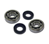 Kit Athena Cuscinetto E Guarnizioni Albero Motore Honda Bali-SFX 50CC Moto
