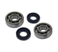 Kit ATHENA Cuscinetto E Guarnizioni Albero Motore Yamaha YZ 250cc 99-00
