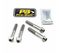Kit attacchi pinza freno PRO BOLT Argento 17020522
