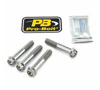 Kit attacchi pinza freno PRO BOLT Argento 17020524