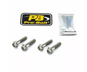 Kit attacchi pinza freno PRO BOLT Argento 17020530